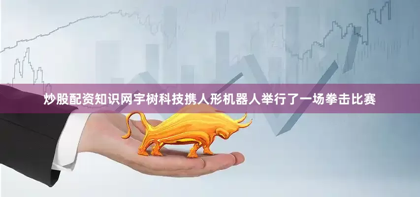 炒股配资知识网宇树科技携人形机器人举行了一场拳击比赛